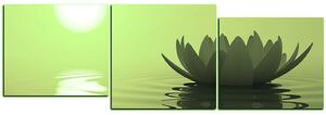 Obraz na plátne - Zen lotus - panoráma 5167ZD (90x30 cm)