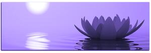 Obraz na plátne - Zen lotus - panoráma 5167VA (105x35 cm)