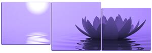 Obraz na plátne - Zen lotus - panoráma 5167VD (90x30 cm)