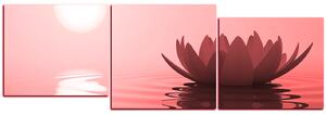 Obraz na plátne - Zen lotus - panoráma 5167CD (150x50 cm)