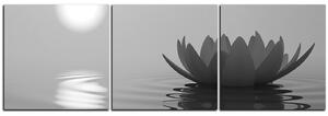 Obraz na plátne - Zen lotus - panoráma 5167QB (120x40 cm)