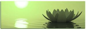 Obraz na plátne - Zen lotus - panoráma 5167ZA (105x35 cm)