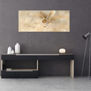 Obraz - Sova pálená (120x50 cm)