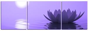 Obraz na plátne - Zen lotus - panoráma 5167VC (150x50 cm)