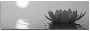 Obraz na plátne - Zen lotus - panoráma 5167QA (105x35 cm)