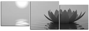Obraz na plátne - Zen lotus - panoráma 5167QD (90x30 cm)