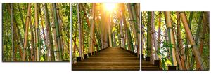 Obraz na plátne - Drevená promenáda v bambusovom lese - panoráma 5172E (150x50 cm)