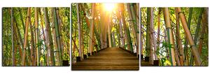 Obraz na plátne - Drevená promenáda v bambusovom lese - panoráma 5172D (150x50 cm)