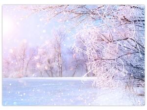Obraz - Mrazivá zima (70x50 cm)