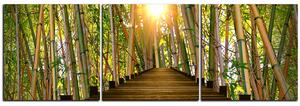 Obraz na plátne - Drevená promenáda v bambusovom lese - panoráma 5172B (150x50 cm)
