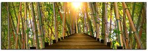 Obraz na plátne - Drevená promenáda v bambusovom lese - panoráma 5172A (105x35 cm)