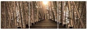Obraz na plátne - Drevená promenáda v bambusovom lese - panoráma 5172FB (90x30 cm)