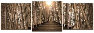 Obraz na plátne - Drevená promenáda v bambusovom lese - panoráma 5172FD (150x50 cm)