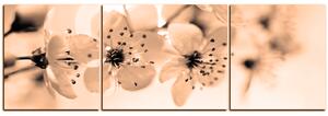Obraz na plátne - Malé kvety na vetve - panoráma 5173FC (150x50 cm)