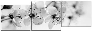 Obraz na plátne - Malé kvety na vetve - panoráma 5173QE (90x30 cm)