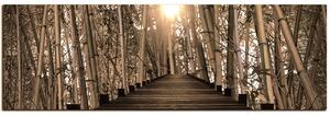 Obraz na plátne - Drevená promenáda v bambusovom lese - panoráma 5172FA (105x35 cm)