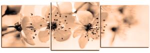 Obraz na plátne - Malé kvety na vetve - panoráma 5173FD (90x30 cm)