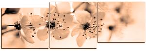 Obraz na plátne - Malé kvety na vetve - panoráma 5173FE (90x30 cm)