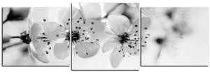 Obraz na plátne - Malé kvety na vetve - panoráma 5173QD (90x30 cm)