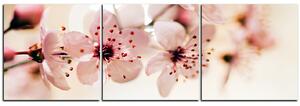 Obraz na plátne - Malé kvety na vetve - panoráma 5173B (90x30 cm)