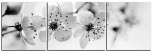 Obraz na plátne - Malé kvety na vetve - panoráma 5173QC (150x50 cm)