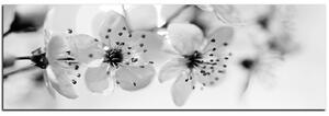 Obraz na plátne - Malé kvety na vetve - panoráma 5173QA (105x35 cm)