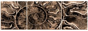 Obraz na plátne - Textúra fosílie - panoráma 5174FC (90x30 cm)