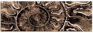 Obraz na plátne - Textúra fosílie - panoráma 5174FA (105x35 cm)