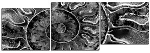 Obraz na plátne - Textúra fosílie - panoráma 5174QE (150x50 cm)