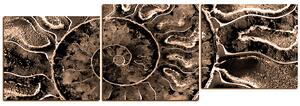 Obraz na plátne - Textúra fosílie - panoráma 5174FE (150x50 cm)