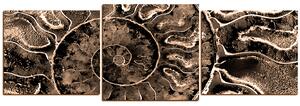 Obraz na plátne - Textúra fosílie - panoráma 5174FD (150x50 cm)