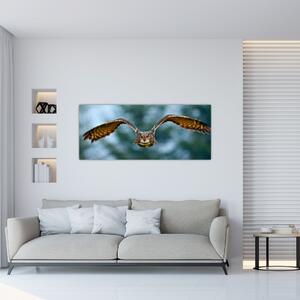 Obraz - Sova pri lete (120x50 cm)