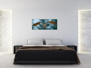 Obraz - Sova pri lete (120x50 cm)