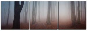 Obraz na plátne - Hmla v lese - panoráma 5182B (90x30 cm)