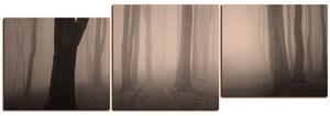 Obraz na plátne - Hmla v lese - panoráma 5182FE (150x50 cm)