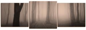 Obraz na plátne - Hmla v lese - panoráma 5182FD (150x50 cm)