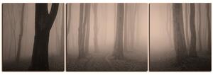 Obraz na plátne - Hmla v lese - panoráma 5182FC (90x30 cm)