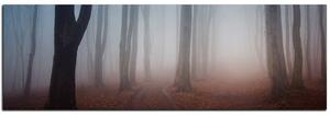 Obraz na plátne - Hmla v lese - panoráma 5182A (105x35 cm)