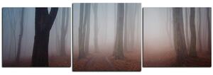 Obraz na plátne - Hmla v lese - panoráma 5182D (120x40 cm)