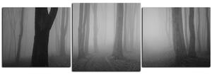 Obraz na plátne - Hmla v lese - panoráma 5182QD (150x50 cm)