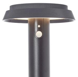 Brilliant - LED Solárna lampa so senzorom ALVERO LED/4W/3,7V 50 cm IP44 čierna