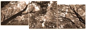 Obraz na plátne - Zelené stromy v lese - panoráma 5194FD (150x50 cm)