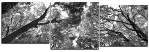 Obraz na plátne - Zelené stromy v lese - panoráma 5194QE (150x50 cm)