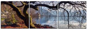 Obraz na plátne - Jeseň pri jazere - panoráma 5198B (150x50 cm)