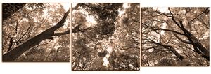 Obraz na plátne - Zelené stromy v lese - panoráma 5194FE (150x50 cm)