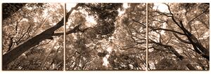 Obraz na plátne - Zelené stromy v lese - panoráma 5194FC (90x30 cm)