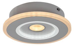 Rabalux 6959 - LED stropné svietidlo TANELI LED/20W/230V 3000/4000/6000K