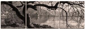 Obraz na plátne - Jeseň pri jazere - panoráma 5198QC (90x30 cm)