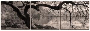 Obraz na plátne - Jeseň pri jazere - panoráma 5198QB (90x30 cm)