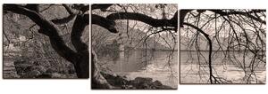 Obraz na plátne - Jeseň pri jazere - panoráma 5198QD (150x50 cm)